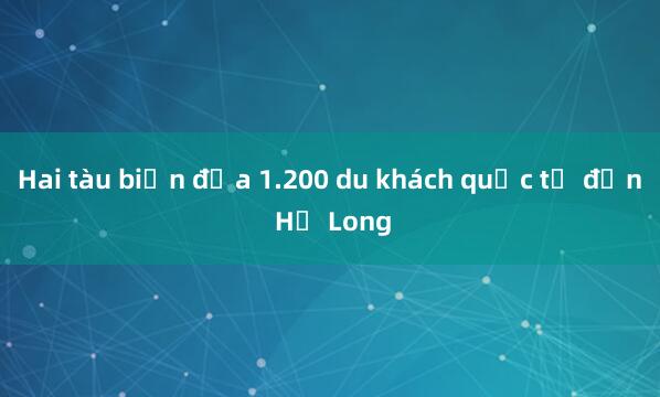 Hai tàu biển đưa 1.200 du khách quốc tế đến Hạ Long 