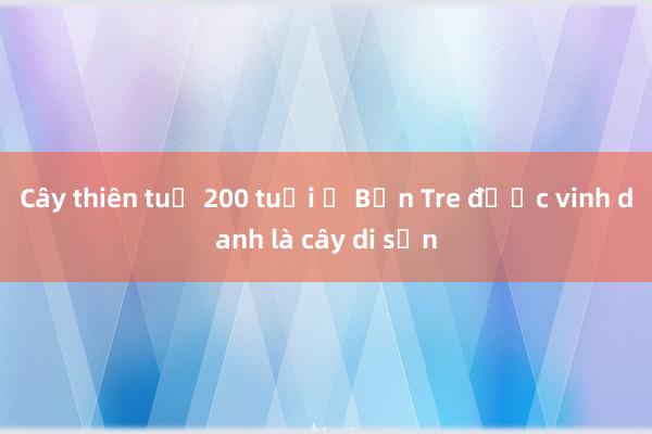 Cây thiên tuế 200 tuổi ở Bến Tre được vinh danh là cây di sản