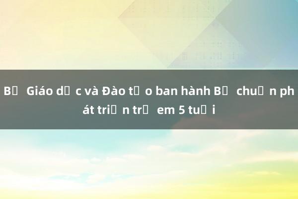 Bộ Giáo dục và Đào tạo ban hành Bộ chuẩn phát triển trẻ em 5 tuổi