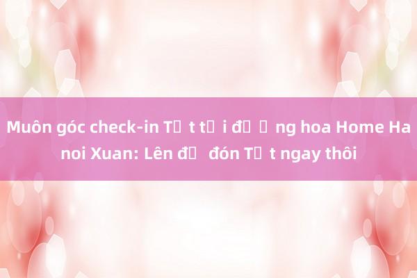 Muôn góc check-in Tết tại đường hoa Home Hanoi Xuan: Lên đồ đón Tết ngay thôi