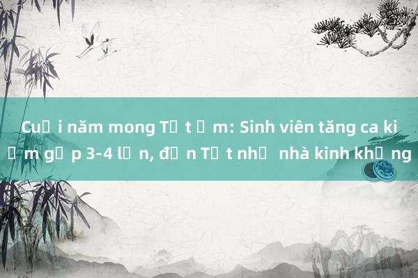 Cuối năm mong Tết ấm: Sinh viên tăng ca kiếm gấp 3-4 lần, đến Tết nhớ nhà kinh khủng