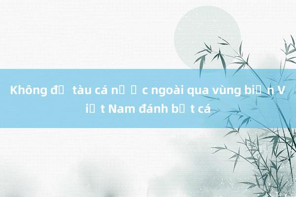 Không để tàu cá nước ngoài qua vùng biển Việt Nam đánh bắt cá