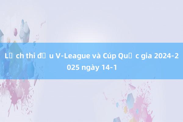 Lịch thi đấu V-League và Cúp Quốc gia 2024-2025 ngày 14-1