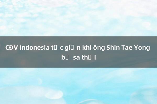 CĐV Indonesia tức giận khi ông Shin Tae Yong bị sa thải