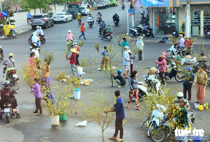 Chợ nhánh mai vàng ở An Giang nơi kẻ bán người mua đều hoan hỉ - Ảnh 6.