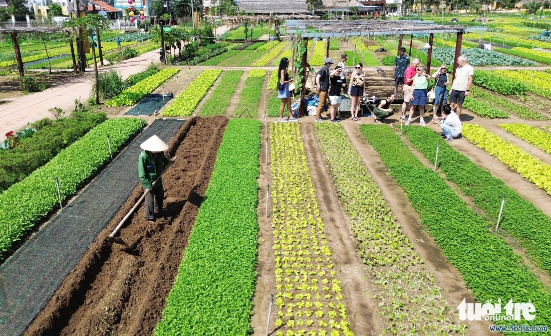 Du Xuân với màu xanh ngắt， thơm ngát， tiết trời trong lành ở làng du lịch tốt nhất năm 2024 - Ảnh 7.