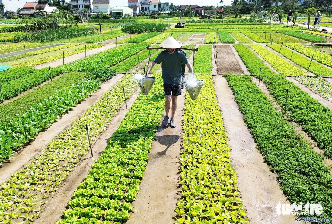 Du Xuân với màu xanh ngắt， thơm ngát， tiết trời trong lành ở làng du lịch tốt nhất năm 2024 - Ảnh 6.