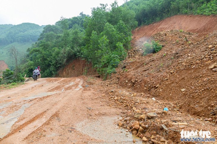 Định giá tiền tỉ， ba lần đấu giá không thành lô gỗ rừng tự nhiên để mở đường - Ảnh 1.